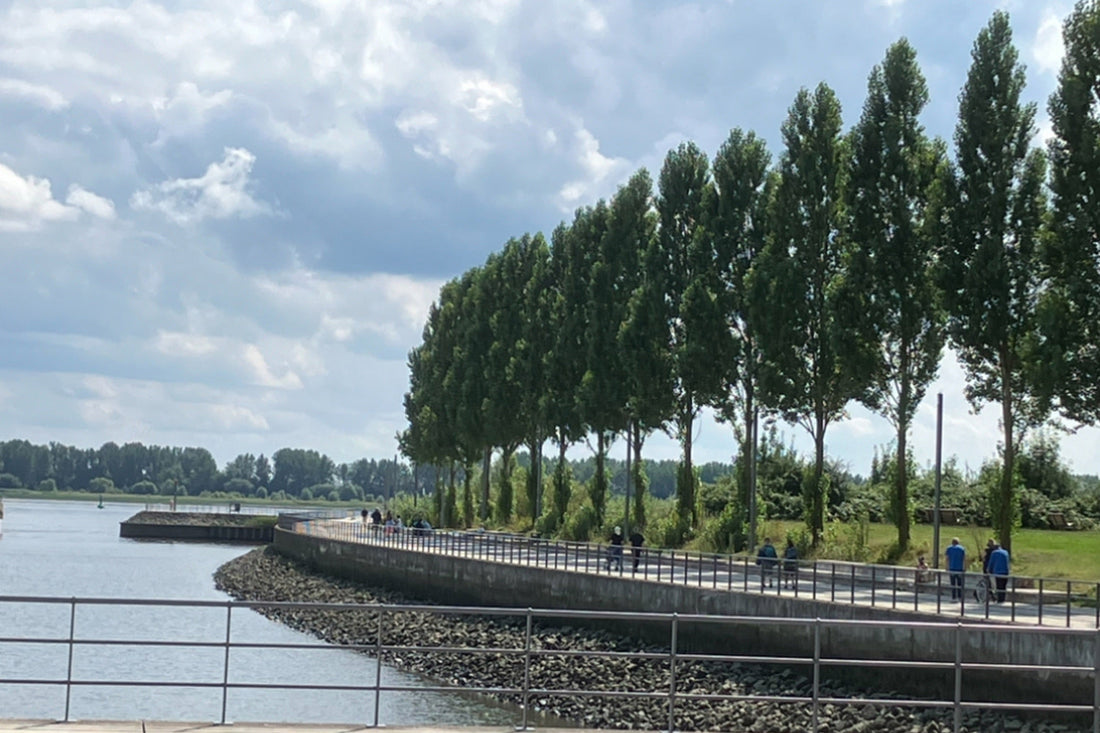 Ruhiges Ufer mit leicht gekräuselter Wasseroberfläche und hellem Himmel – ein stiller Moment aus Licht, Weite und sanfter Bewegung