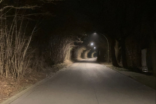 Nachts beleuchteter Fahrradweg mit Laternen, die einen Tunnel aus Licht zwischen kahlen Bäumen bilden. Ruhige, leicht unheimliche Stimmung, stille Bewegung und tiefe Atmosphäre.