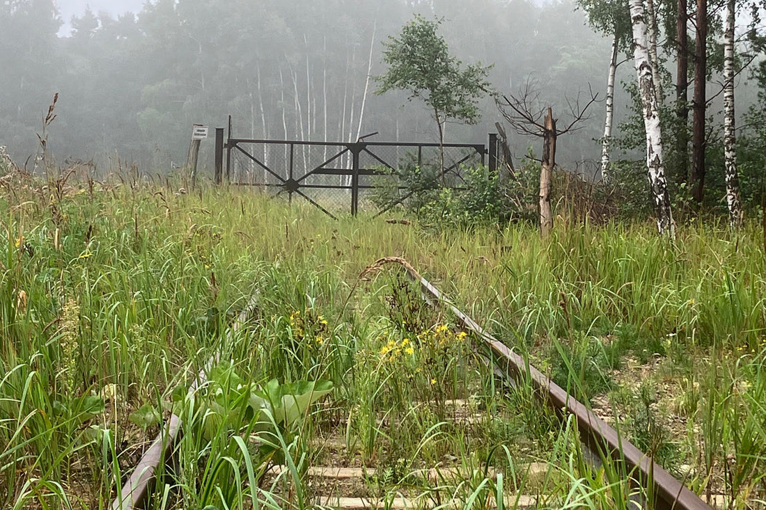 Alte Gleise im Nebel, weiche Linien, heller Morgen, ruhige und atmosphärische Szene eines stillen Weges.
