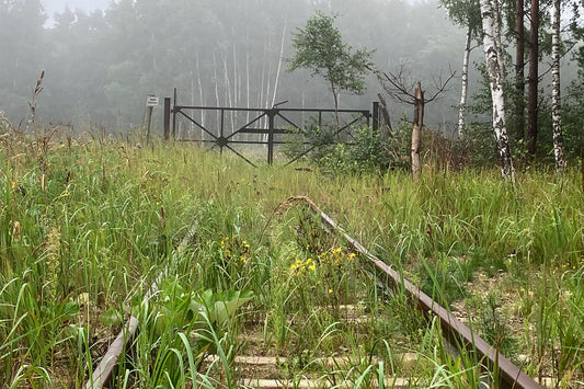 Alte Gleise im Nebel, weiche Linien, heller Morgen, ruhige und atmosphärische Szene eines stillen Weges.