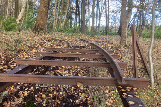 Alte, verrostete Gleise im Wald, bedeckt mit Herbstlaub und umgeben von warmem Licht. Ruhige, zeitvolle Szene eines stillen Wege
