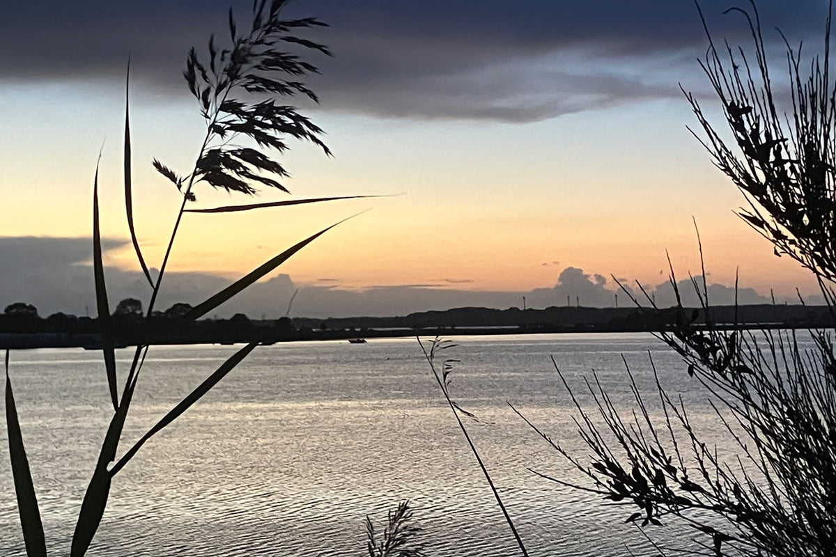 Abendstimmung am Wasser mit Silhouetten von Schilfgras, sanfter Himmel in Pastellfarben