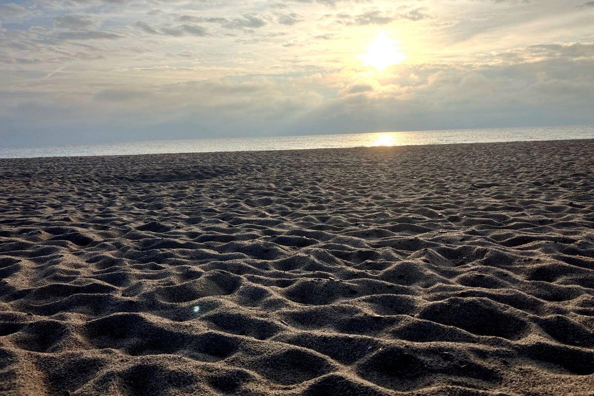 Zwischen den Stimmen